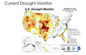 Current Drought Monitor - January 31, 2023
