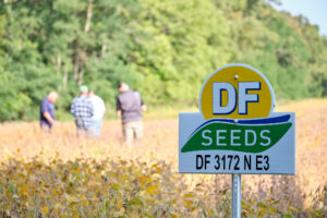 Field of DF Seeds soybeans